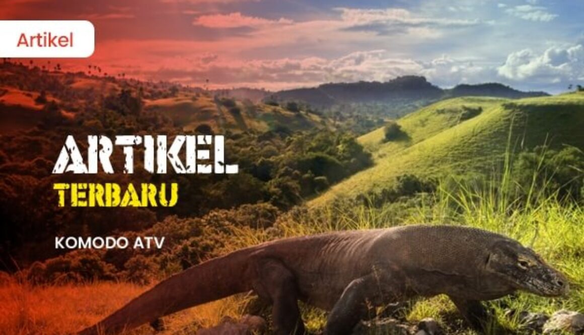 ATV pulau komodo 1(1)