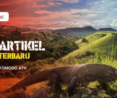 ATV pulau komodo 1(1)