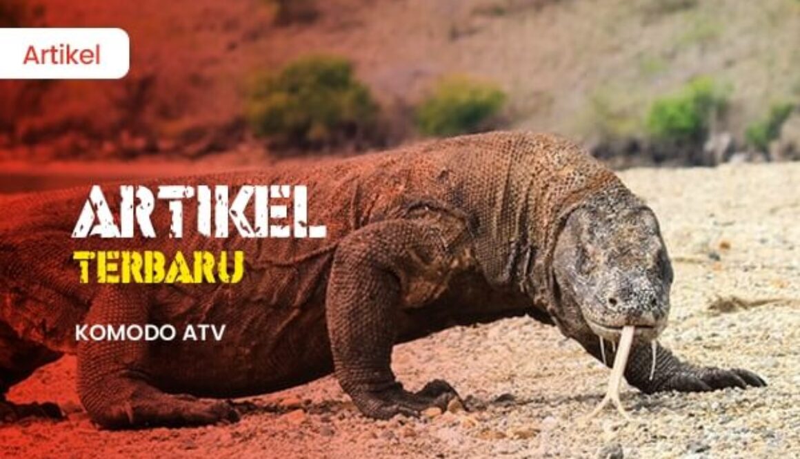 ATV pulau komodo 2(1)