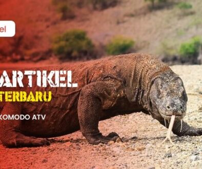 ATV pulau komodo 2(1)