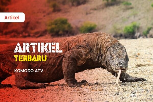 ATV pulau komodo 2(1)