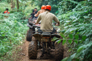 Galeri komodo atv (4)