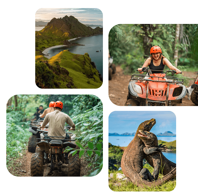 profil - komodo atv(1)